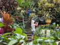 /album/fotogaleria-karibik-island-hopping-zajazd-vy-a-my/jamajkanita-island-hopping-21-jpg/